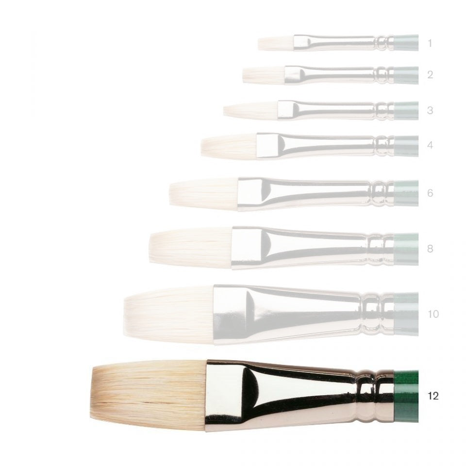 Winsor & Newton Winton Hog Long Flat Size 12