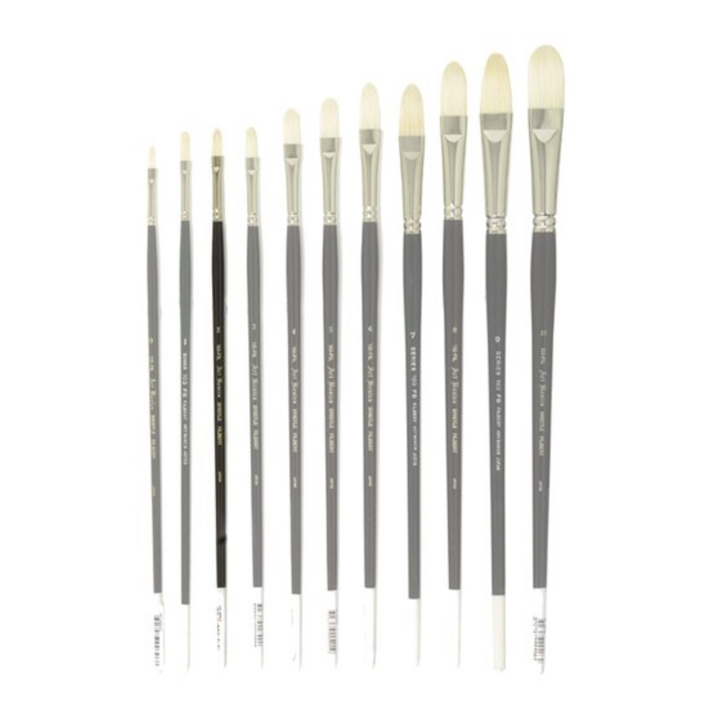 103FIL Art Basics Bristle Filbert Size 2 - theartshop.com.au