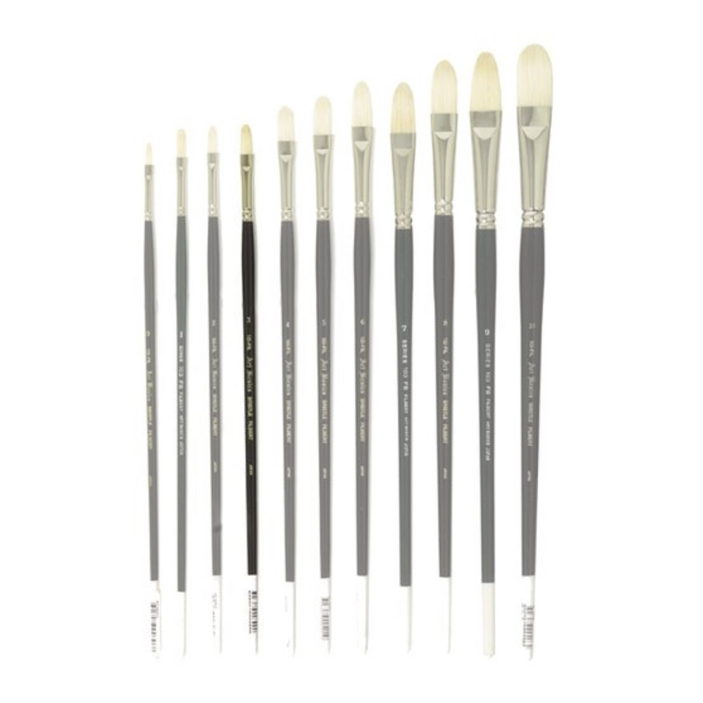 103FIL Art Basics Bristle Filbert Size 3 - theartshop.com.au