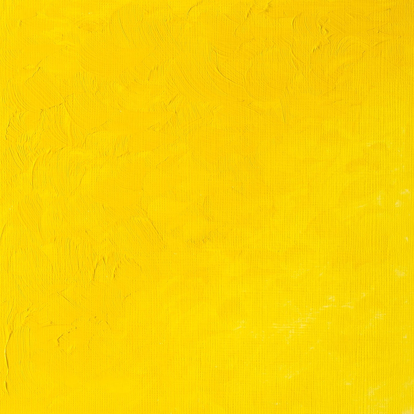 Winsor & Newton Griffin Alkyd Oil 37ml Cadmium Yellow Light Hue