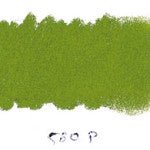 AS Standard Pastels 70mm x 12mm 580P Australian Leaf Green Light - theartshop.com.au