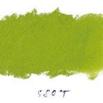 AS Standard Pastels 70mm x 12mm 580T Australian Leaf Green Light - theartshop.com.au