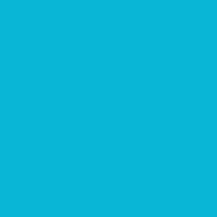 Caran d'Ache Neocolor II 171 Turquoise Blue - theartshop.com.au