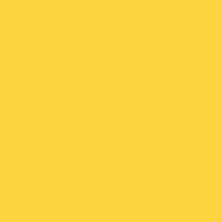 Caran d'Ache Neopastel 010 Yellow - theartshop.com.au