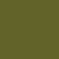 Caran d'Ache Neopastel 229 Dark Green - theartshop.com.au