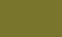 Caran d'Ache Pablo Pencil 018 Olive Grey - theartshop.com.au
