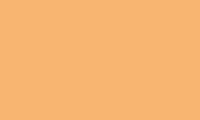 Caran d'Ache Pablo Pencil 041 Apricot - theartshop.com.au