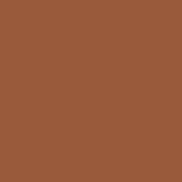 Caran d'Ache Prismalo 055 Cinnamon - theartshop.com.au