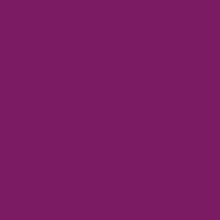 Caran d'Ache Prismalo 100 Purple Violet - theartshop.com.au