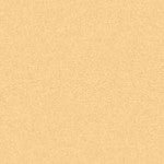 Colourfix Primer 250ml Rich Beige - theartshop.com.au