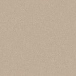 Colourfix Primer 250ml Soft Umber - theartshop.com.au