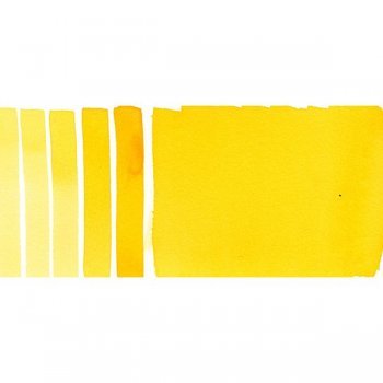 Daniel Smith W/C 5ml Mayan Yellow - theartshop.com.au