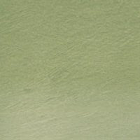 Derwent Tinted Charcoal TC15 Green Moss - theartshop.com.au