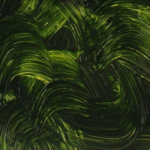 Gamblin 1980 Oil Colour 37ml Sap Green - theartshop.com.au