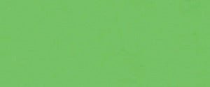 Holbein Artists' Designer Gouache 15ml G541 Permanent Green Light - theartshop.com.au