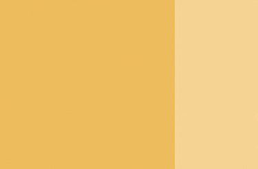 Holbein Artists' Oil 40ml 232 Naples Yellow Italian - theartshop.com.au