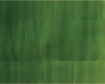 Holbein Duo Oil 40ml Sap Green - theartshop.com.au