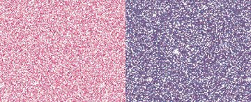 Jacquard Pearl Ex Pigment 14gm Duo Red-Blue - theartshop.com.au