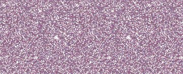 Jacquard Pearl Ex Pigment 14gm Duo Violet-Brass - theartshop.com.au