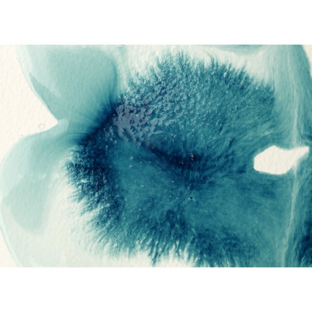 Liquitex Flow Aid 118ml - theartshop.com.au