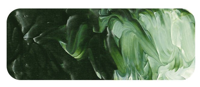 Matisse Fluid 36ml Australian Olive Green - theartshop.com.au