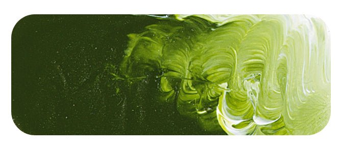 Matisse Fluid 36ml Australian Sap Green - theartshop.com.au