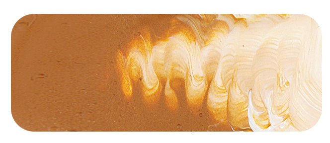 Matisse Fluid 36ml Raw Sienna - theartshop.com.au