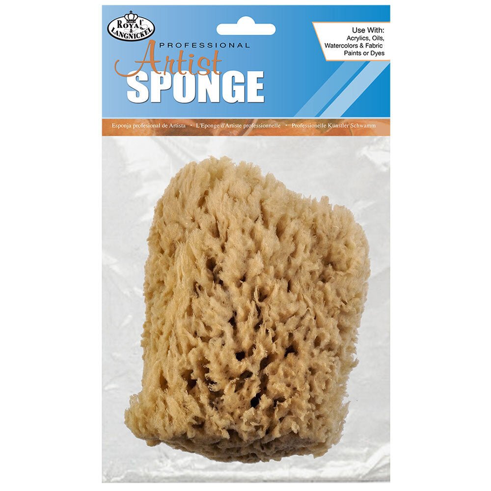 Natural Sea Wool Sponge 5 - 6" - theartshop.com.au