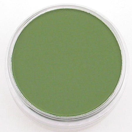 Pan Pastel Chromium Oxide Green 660.5 - theartshop.com.au