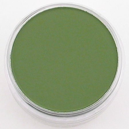 Pan Pastel Chromium Oxide Green Shade 660.3 - theartshop.com.au