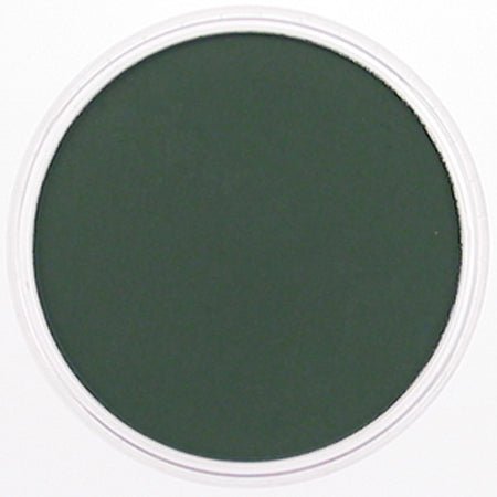 Pan Pastel Permanent Green Extra Dark 640.1 - theartshop.com.au