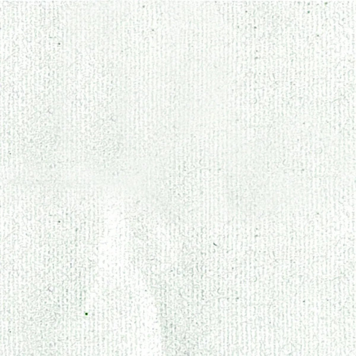 Pebeo Setacolor Opaque 45ml Shimmer Pearl - theartshop.com.au