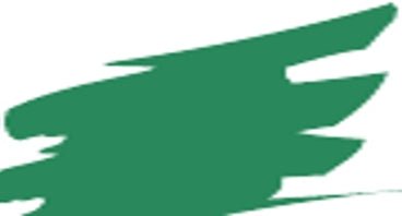 Prismacolor Premier Coloured Pencil 911 Olive Green - theartshop.com.au