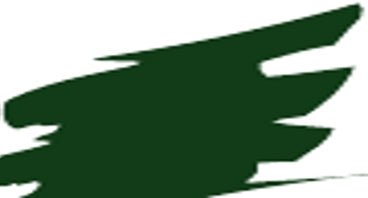 Prismacolor Premier Coloured Pencil 988 Marine Green - theartshop.com.au