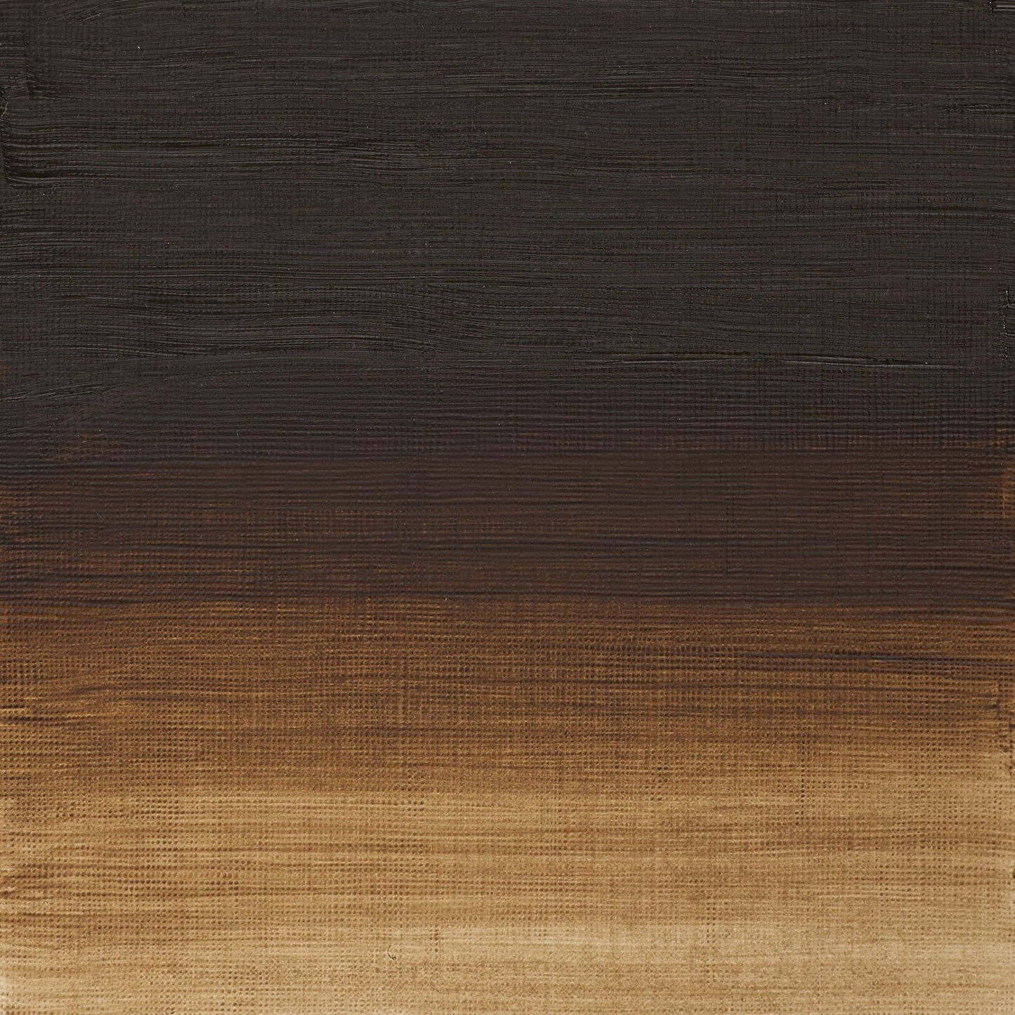 W & N Artists' Oil 200ml Raw Umber - theartshop.com.au