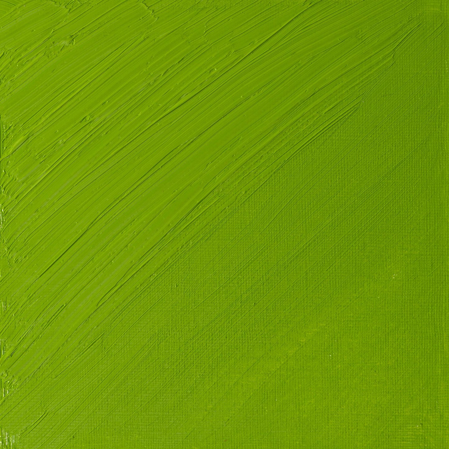 W & N Artists' Oil 37ml Cadmium Green Pale - theartshop.com.au