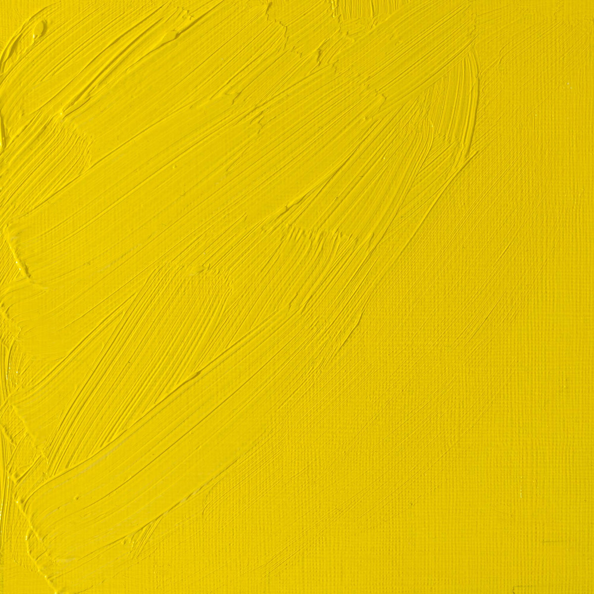 W & N Artists' Oil 37ml Cadmium Lemon - theartshop.com.au