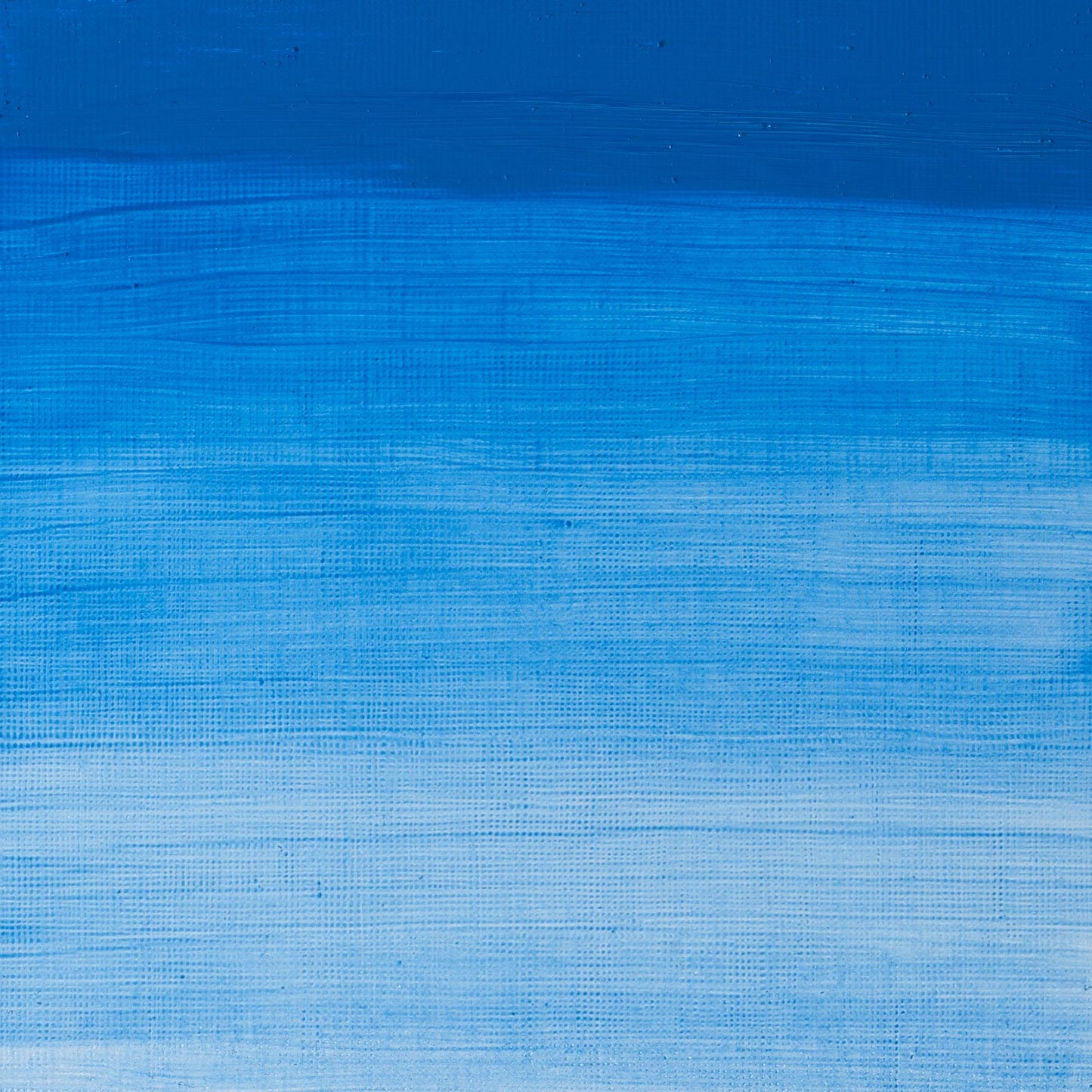 W & N Artists' Oil 37ml Cerulean Blue - theartshop.com.au