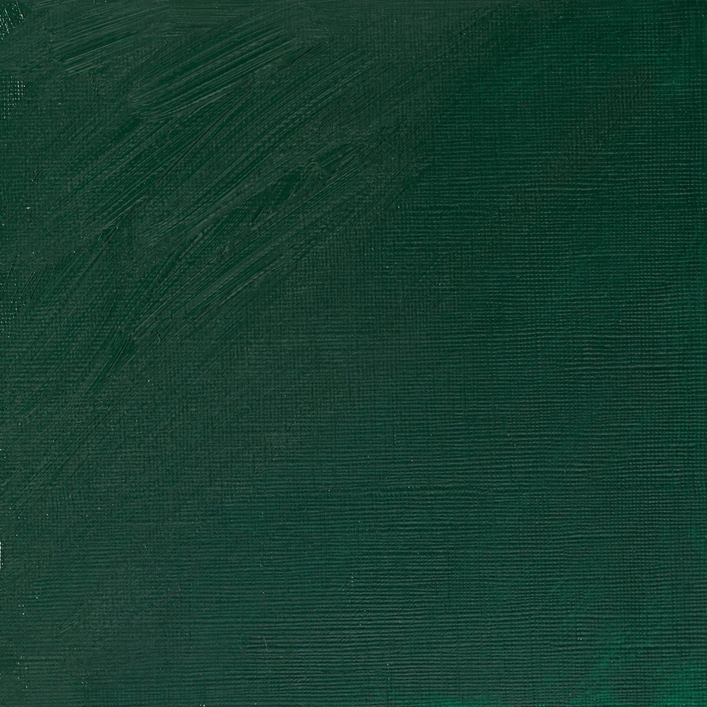 W & N Artists' Oil 37ml Chrome Green Deep Hue - theartshop.com.au