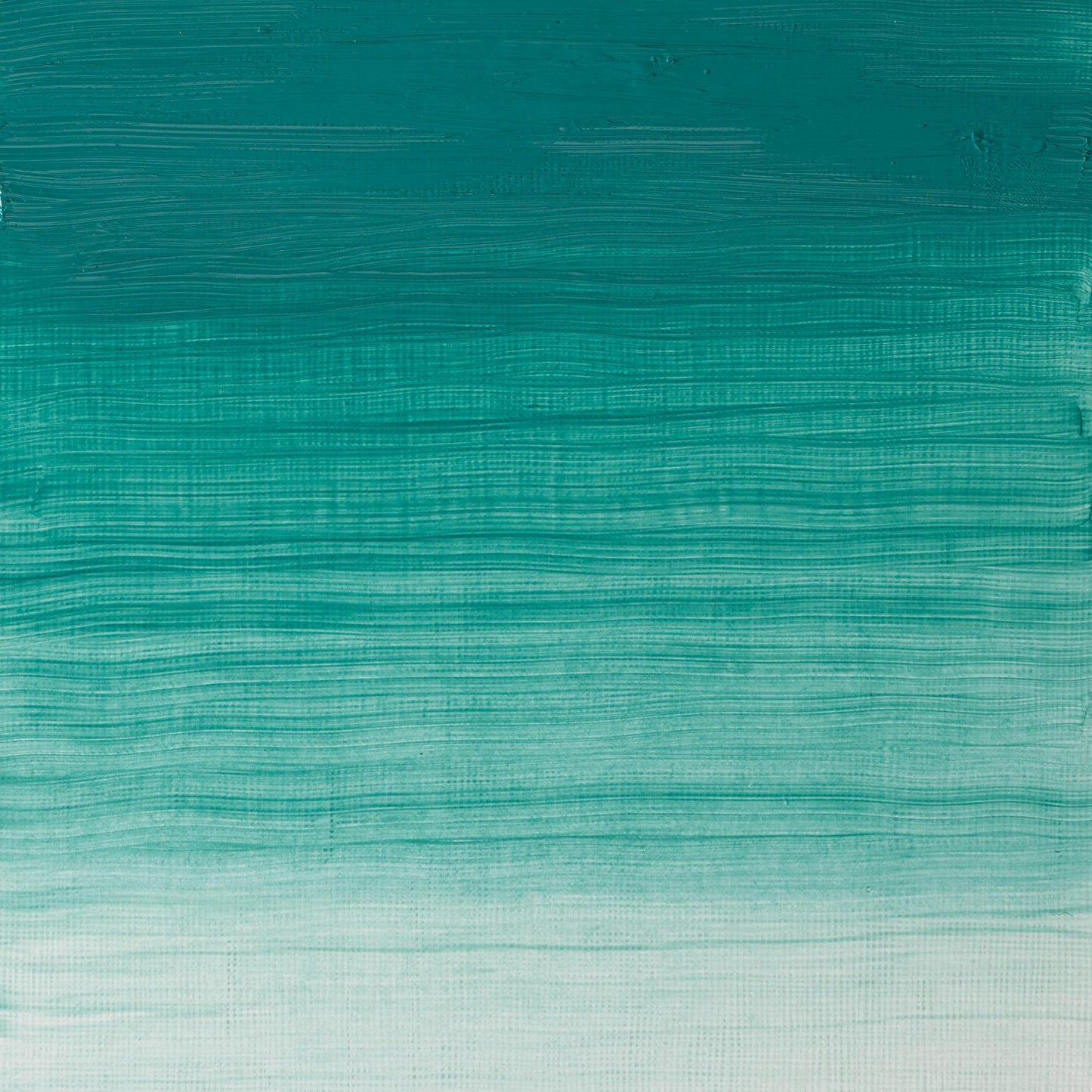 W & N Artists' Oil 37ml Cobalt Green - theartshop.com.au
