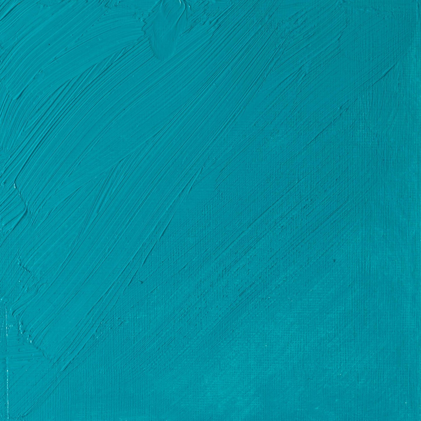 W & N Artists' Oil 37ml Cobalt Turquoise Light - theartshop.com.au