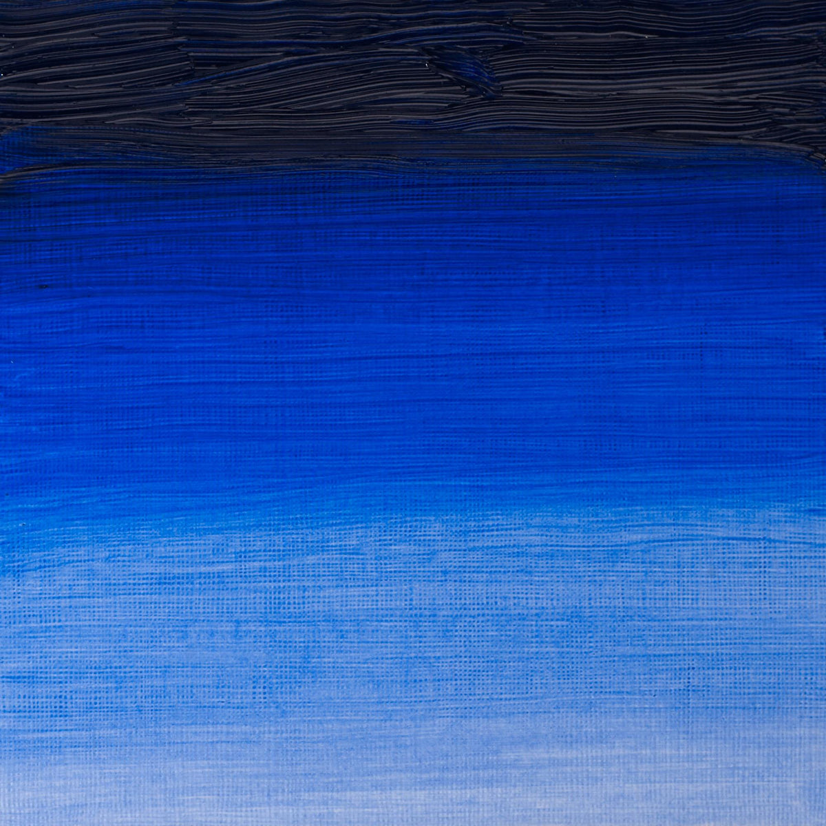 W & N Artists' Oil 37ml French Ultramarine - theartshop.com.au
