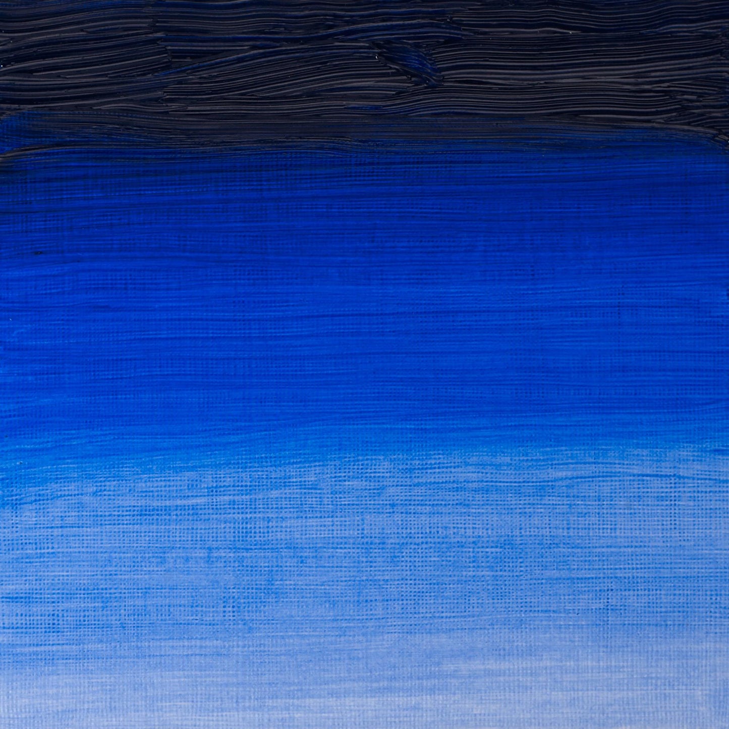 W & N Artists' Oil 37ml French Ultramarine - theartshop.com.au