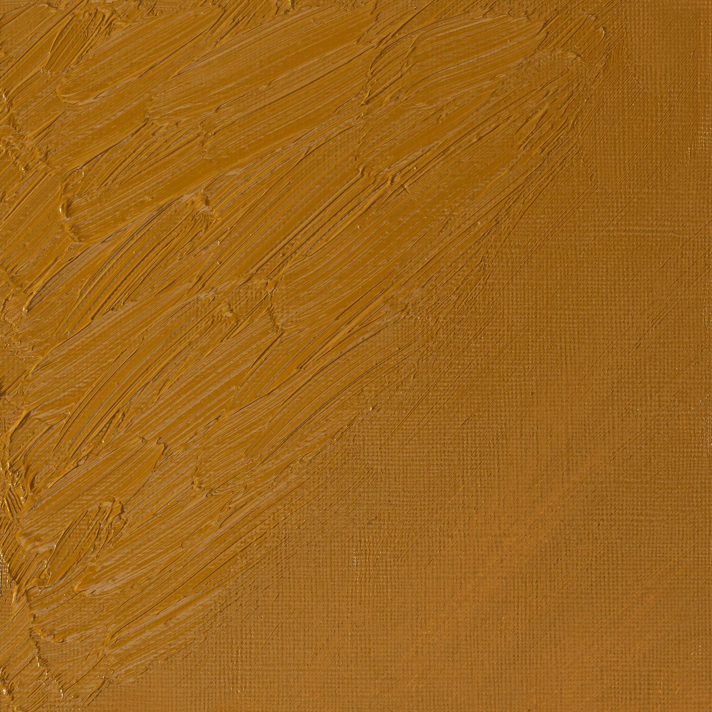 W & N Artists' Oil 37ml Gold Ochre - theartshop.com.au