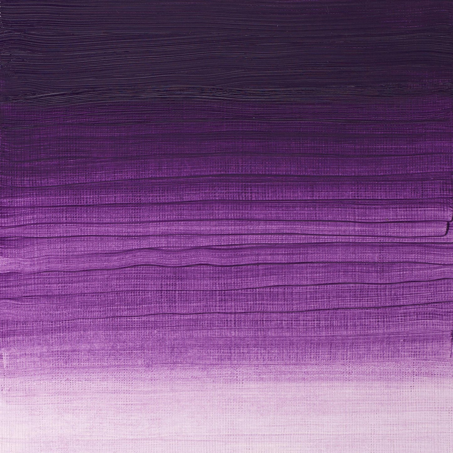 W & N Artists' Oil 37ml Permanent Mauve - theartshop.com.au