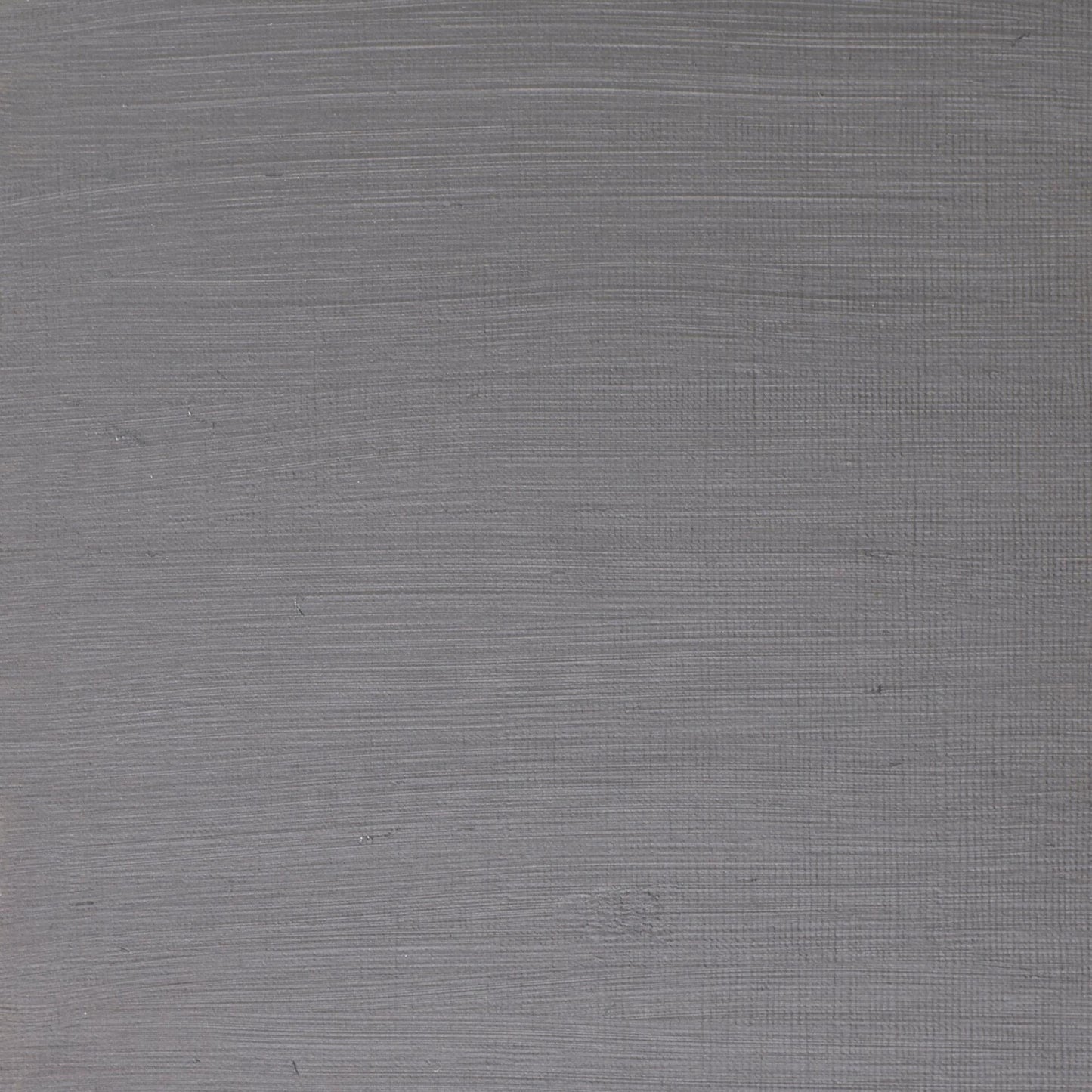 W & N Artists' Oil 37ml Pewter - theartshop.com.au