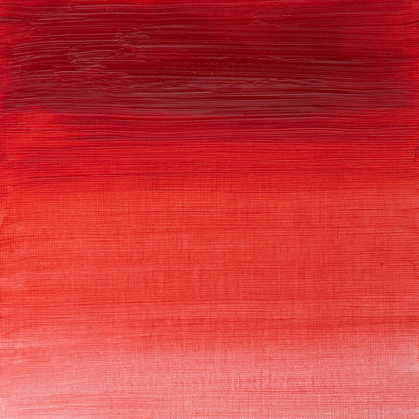 W & N Artists' Oil 37ml Quinacridone Red - theartshop.com.au