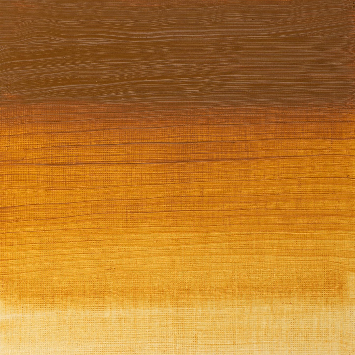 W & N Artists' Oil 37ml Raw Sienna - theartshop.com.au