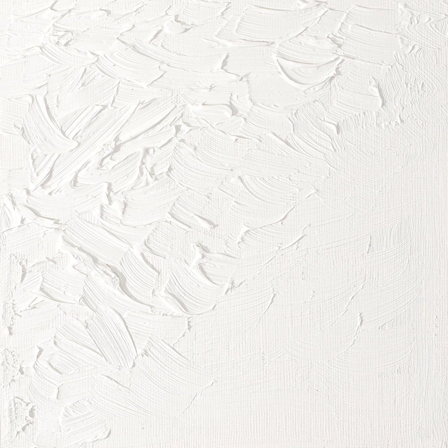 W & N Artists' Oil 37ml Titanium White - theartshop.com.au