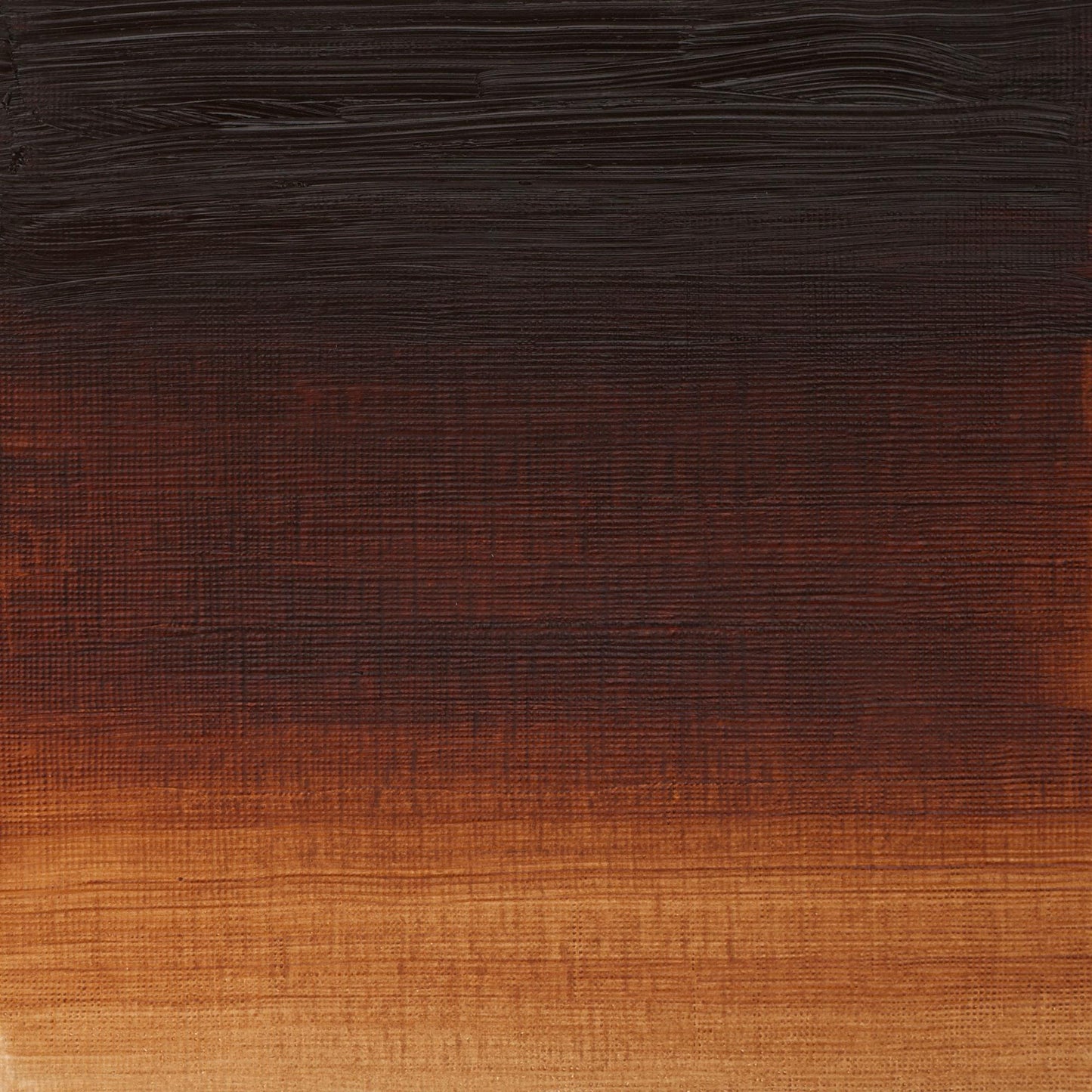 W & N Artists' Oil 37ml Transparent Brown Oxide - theartshop.com.au